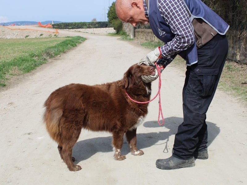 Beckey - Berufswunsch Prinzessin