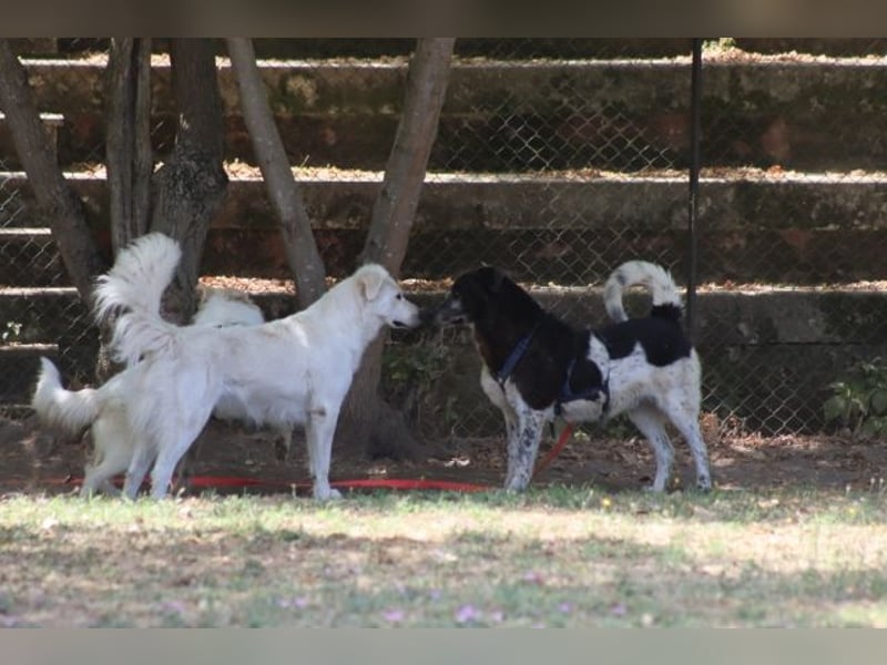 Cambiamento - lasst uns sein Leben verändern