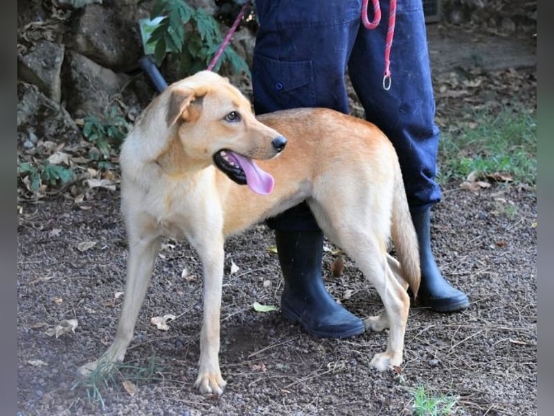 Lilyrose - als kleine Muschel ins Glück!