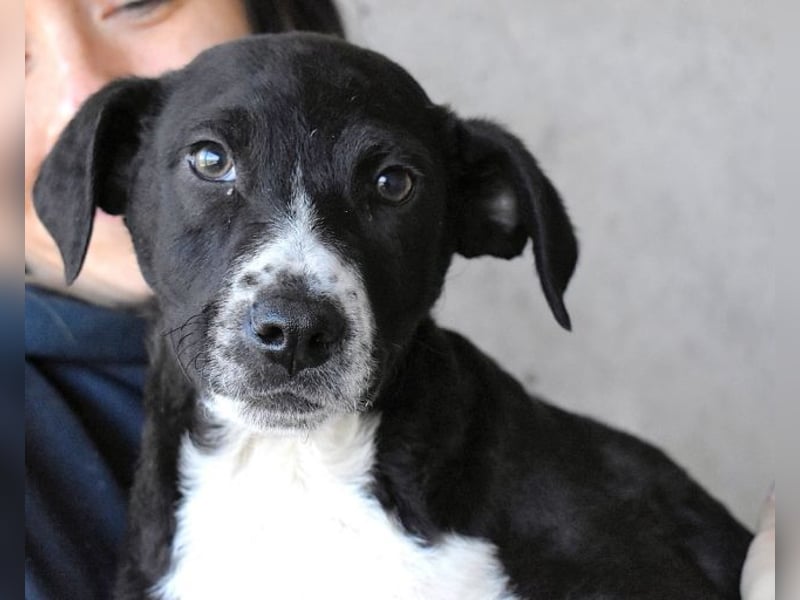 Mavette - Es soll DEIN Leben werden