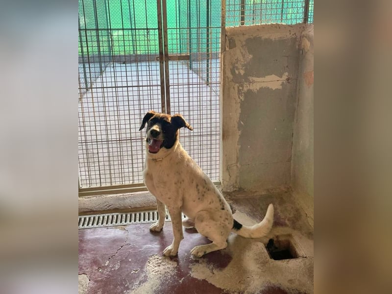 Phönix - Wege aus der Vergangenheit