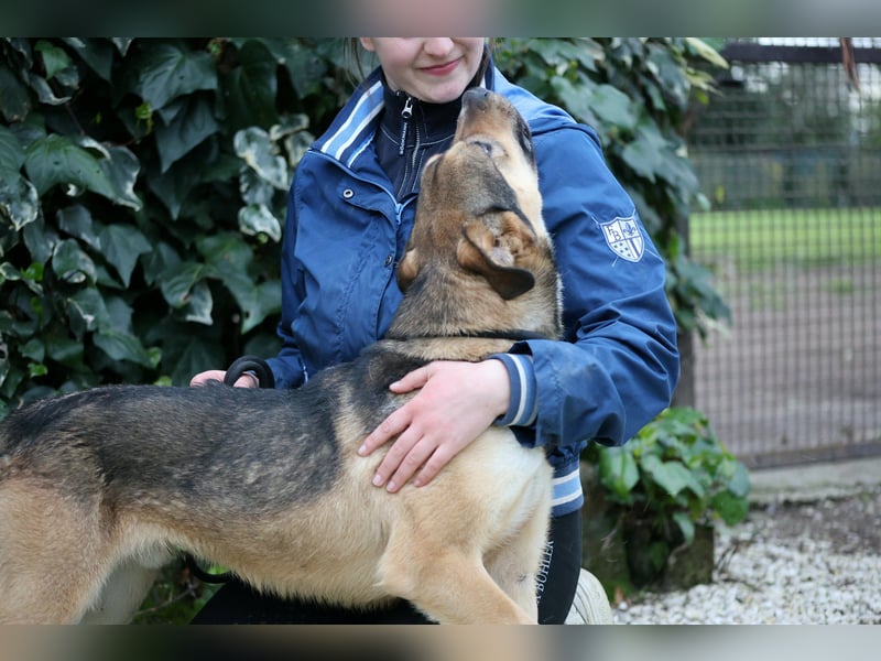 Aki - Verloren, gerettet, verlassen...