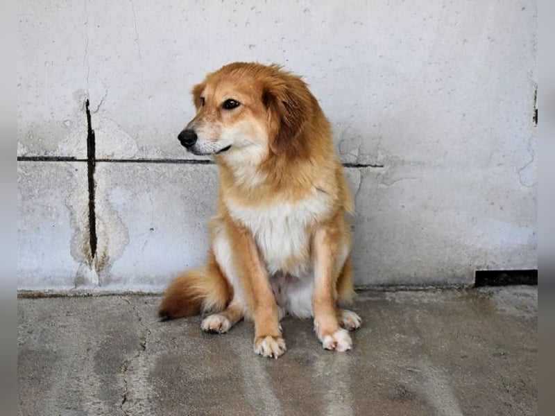 Jonathen - Die Flucht in mir