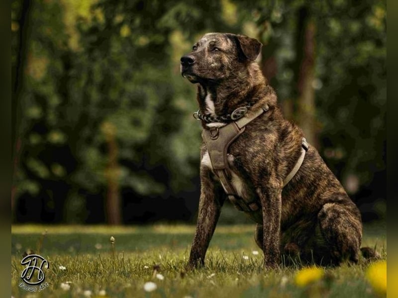 Ludwig - Nur Mädchen erlaubt