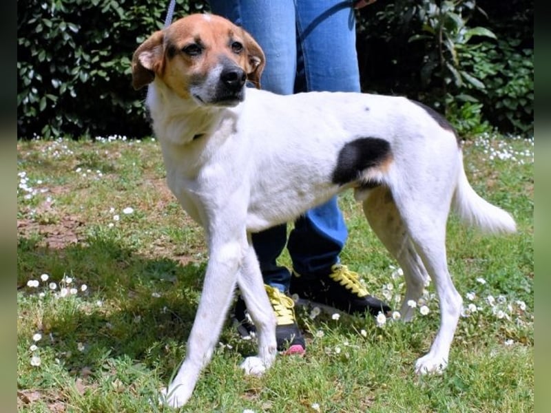 Kamyll - Der Platz neben dir