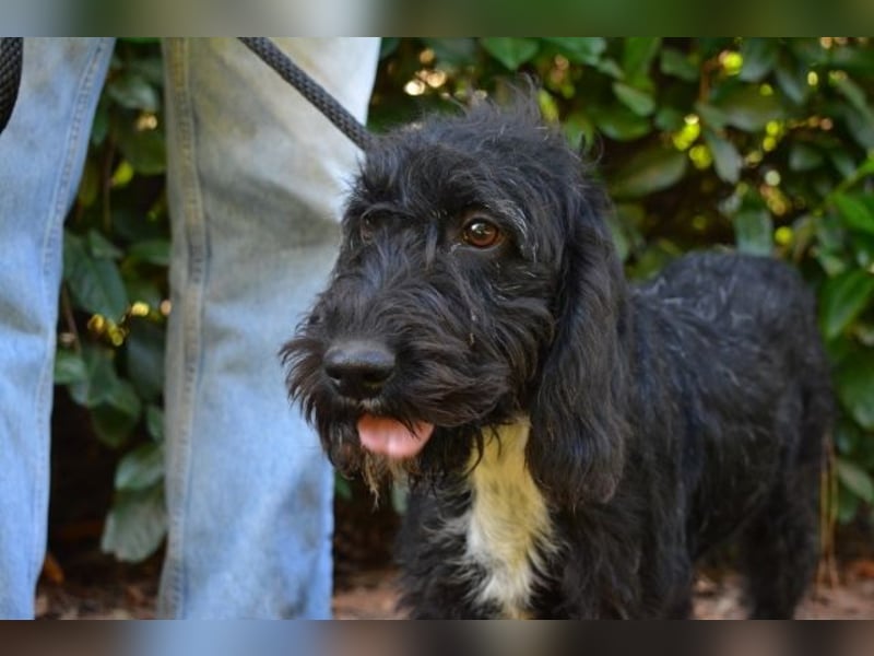 Elide - das doppelte Lottchen zu Edera