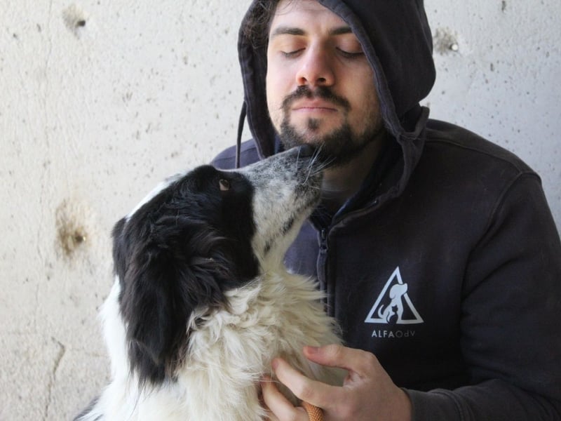 Bramion - Die Sache mit dem Mut, der Statistik und Bramion