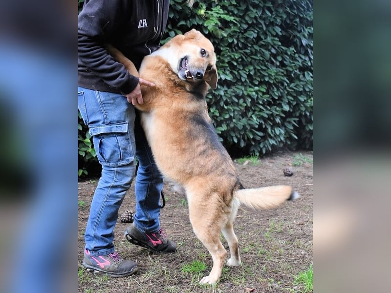 Kairo - möchte einfach nur genießen