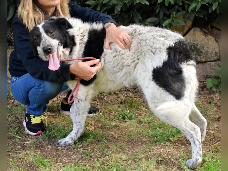 Jessie - Viel zu lange auf der Zuschauerbank