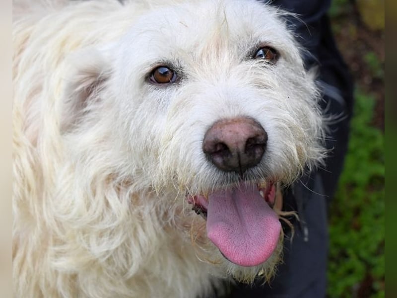 Gatsby - Der große Gatsby sucht seine Daisy