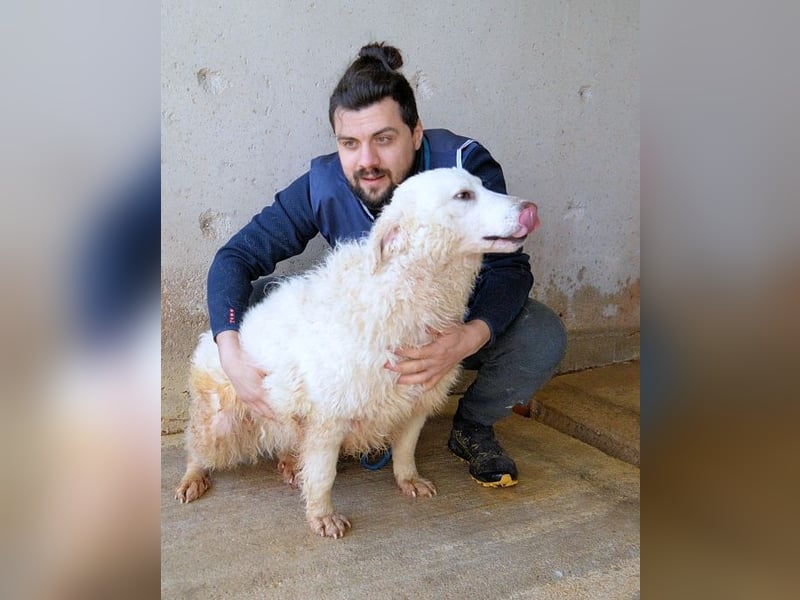 Abreena - Selbstbewusst, verspielt und voller Zuneigung