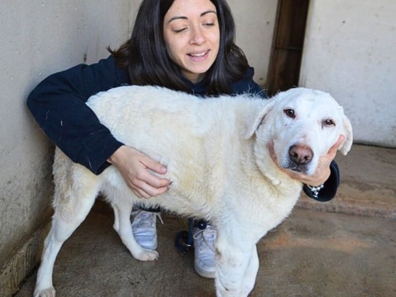 Arriel - aller guten Dinge sind drei