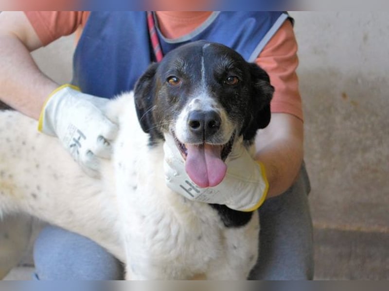 Lorianne - Diplomierte Zuhörerin sucht Sofa & Sonne