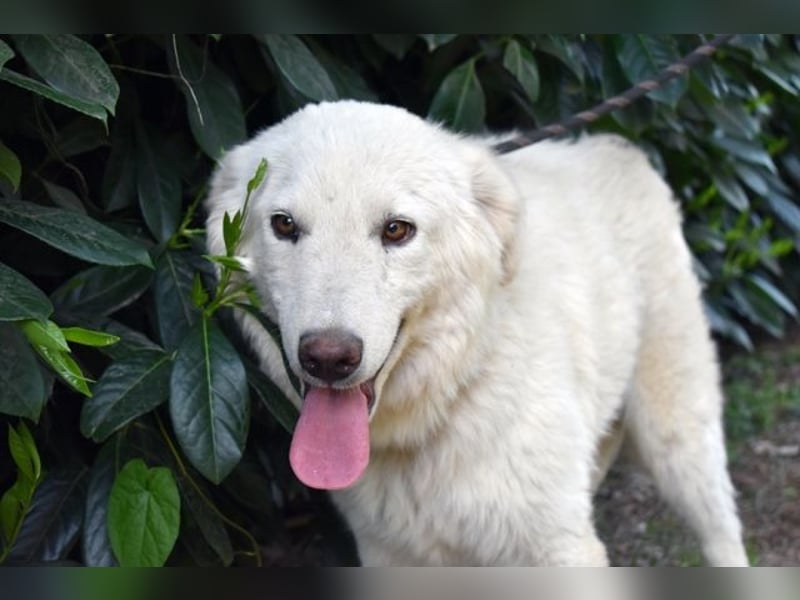 Florenz - bereit für das Abenteuer Leben