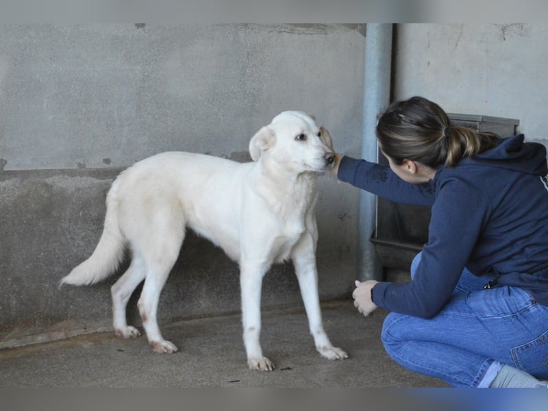 Cyra - Cyra, bald bist auch Du dran!