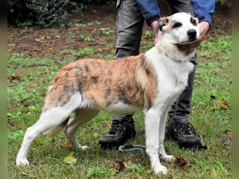 Milde - Ein Flüstern, das sagt: "Du bist sicher."