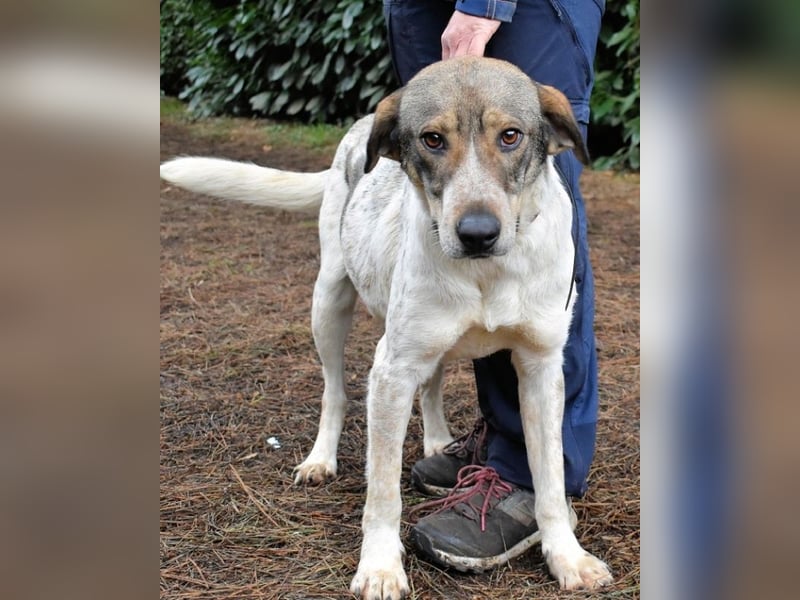 Helder - spricht für sich