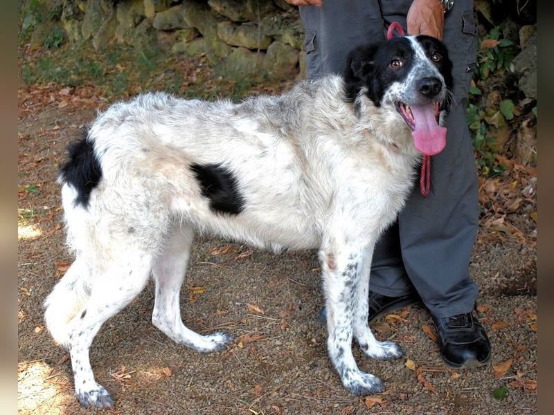 Jessie - Wer nicht neugierig ist, erfährt nichts