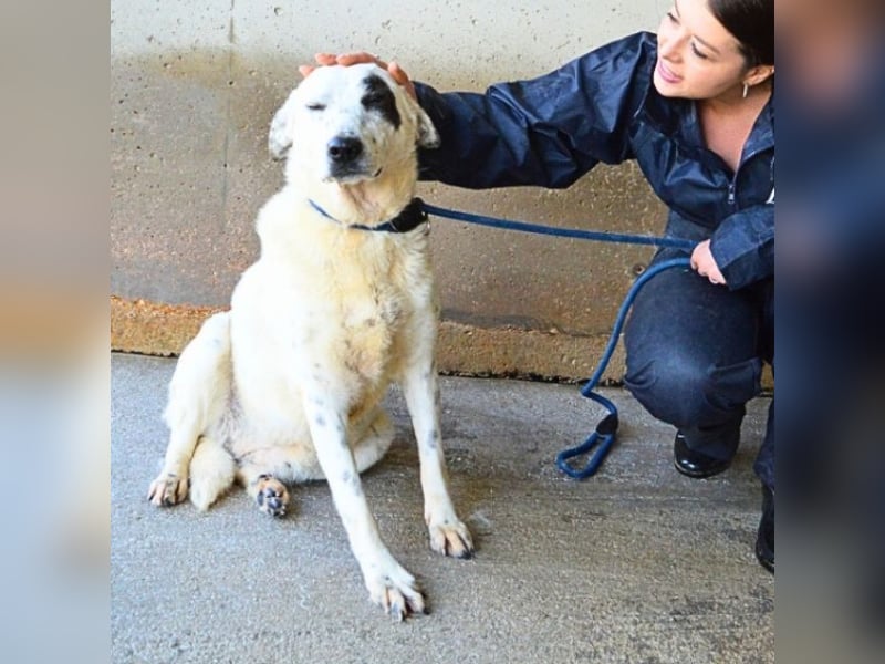 Arunny - aller guten Dinge sind drei