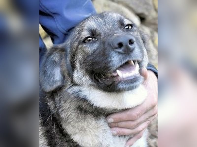 Silvana - im Eilschritt nach Hause?