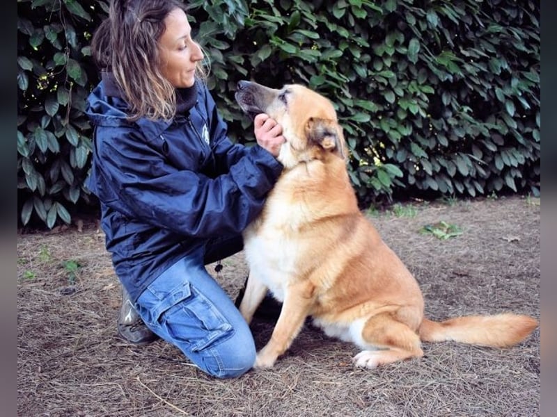 Oddy - Der "Seltsame" mit den Bernsteinaugen