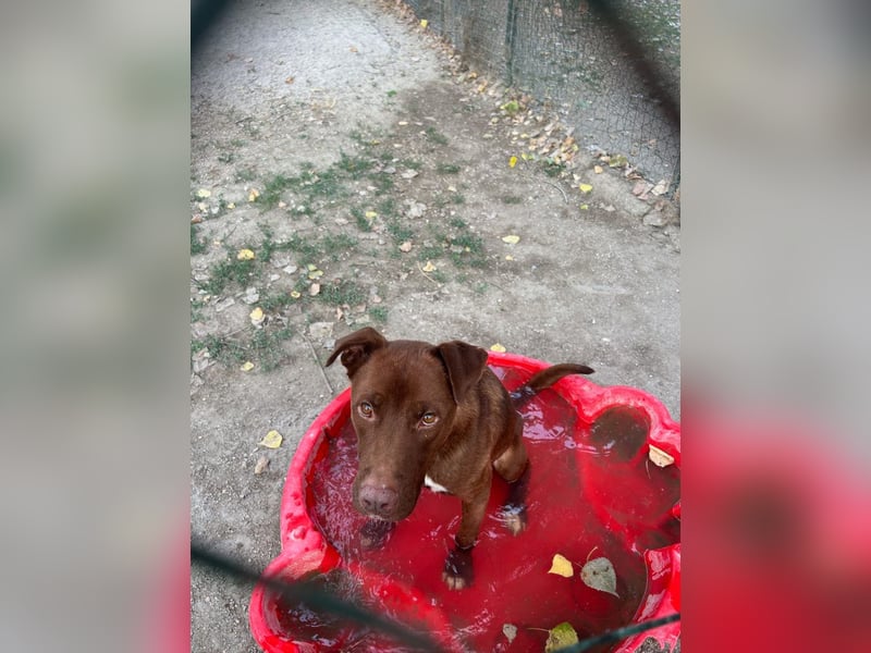 Birdy - Ich glaube, es wird Frühling