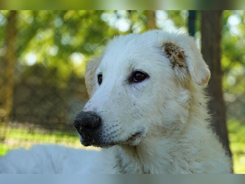 Tonia - Still, stark und voller Herz