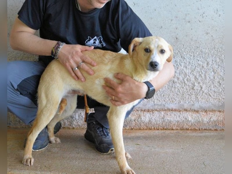 Rodrigue - Ein Anfang, der nie kam