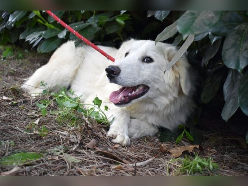 Franky - bereit für das Abenteuer Leben