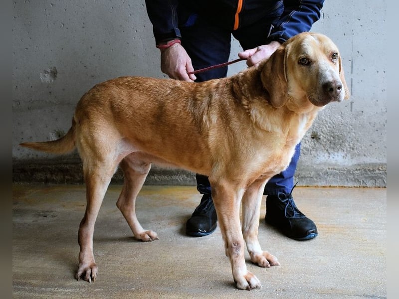 Dioneo - NOTFALL - Zeit heilt hier nichts