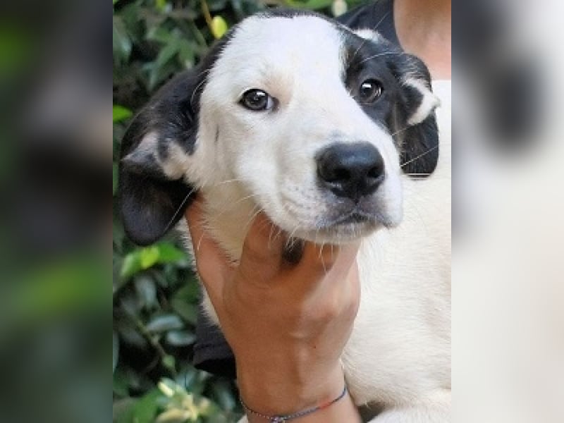 Marius - We proudly present...