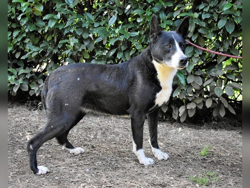 Edelmira - Das Leben in homöopathischen Dosen kennenlernen