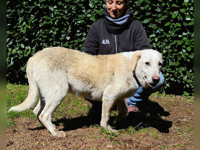 Shaydon - Ein riesiges Missverständnis!