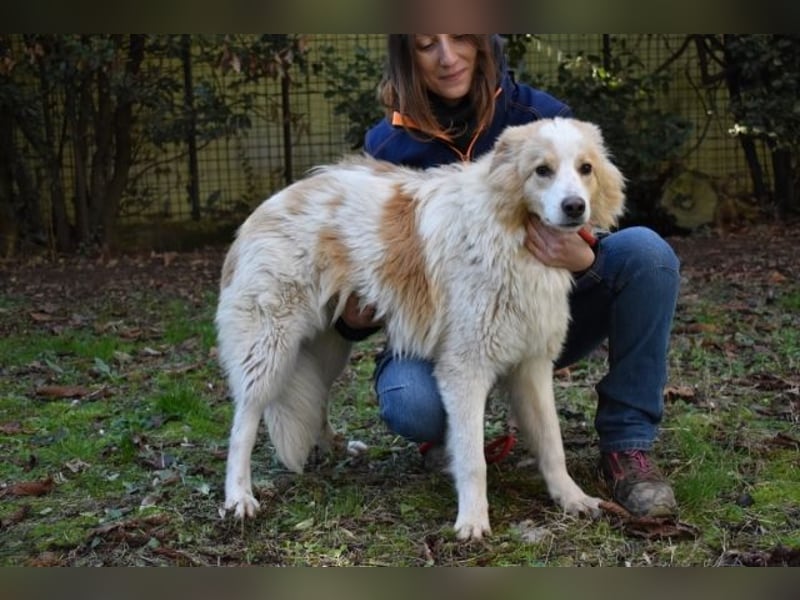 Jury - Powerpaket mit ganz viel Herz im Gepäck