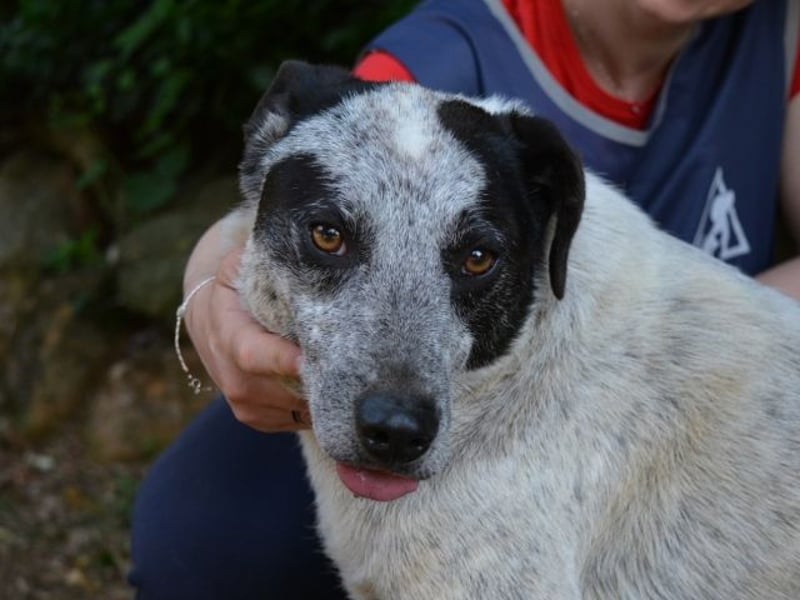 Medwin - Wo ist denn nun das wahre Leben?