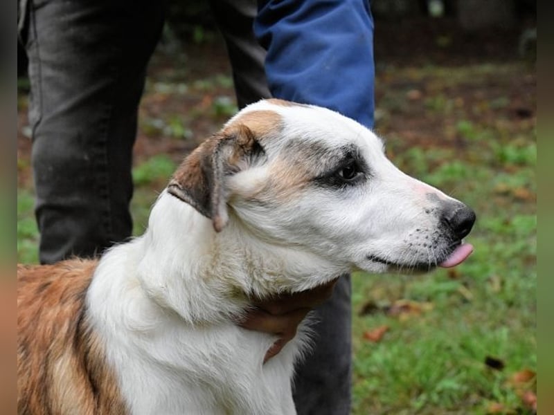 Milde - Ein Flüstern, das sagt: "Du bist sicher."