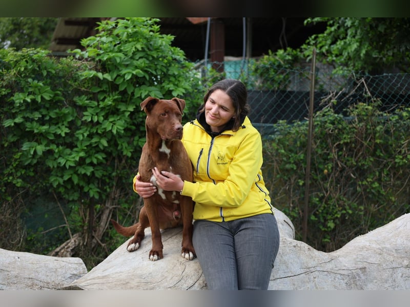 Birdy - Ich glaube, es wird Frühling