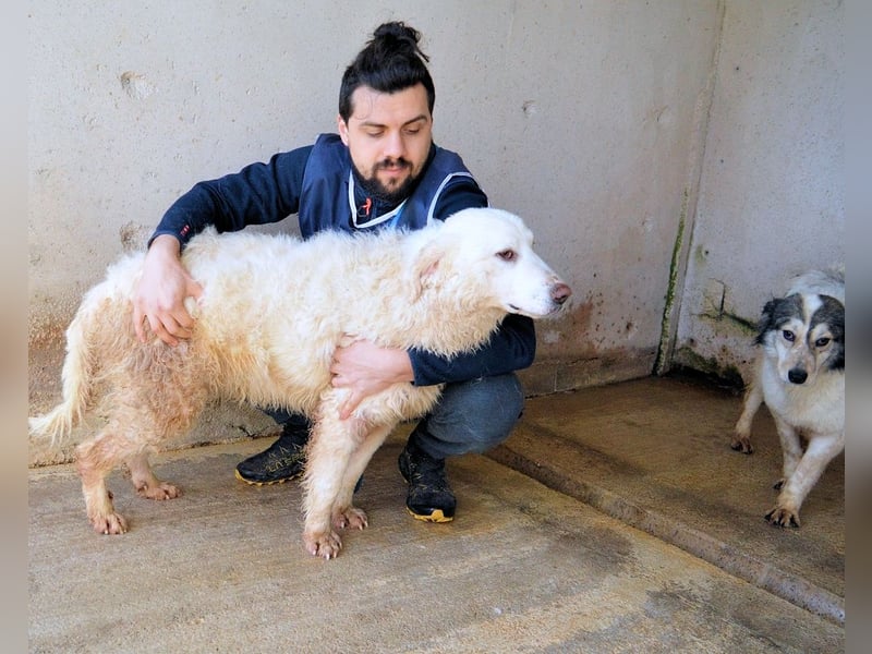 Abreena - Selbstbewusst, verspielt und voller Zuneigung