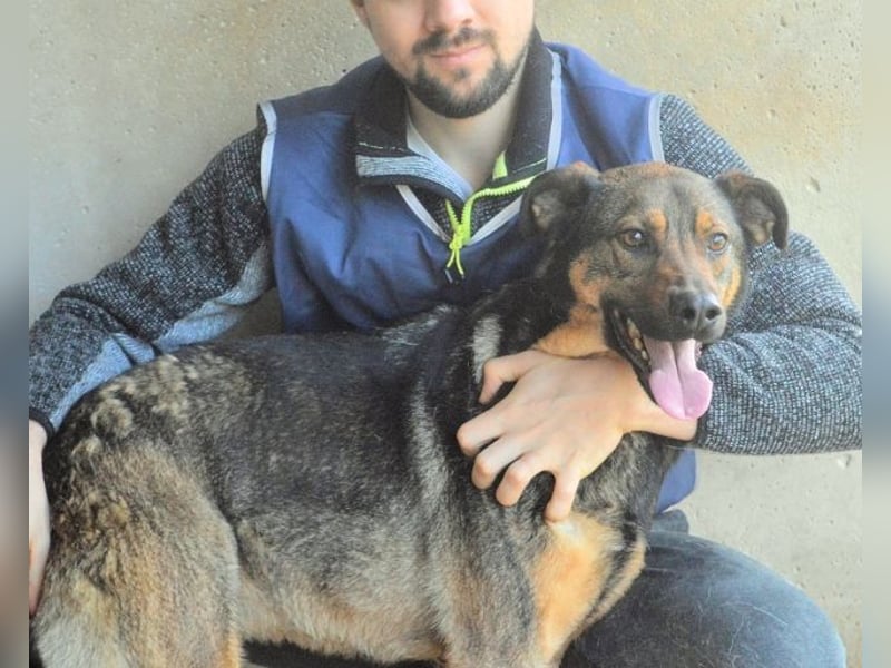 Alvis - Zurückgelassen mit nichts als Hoffnung