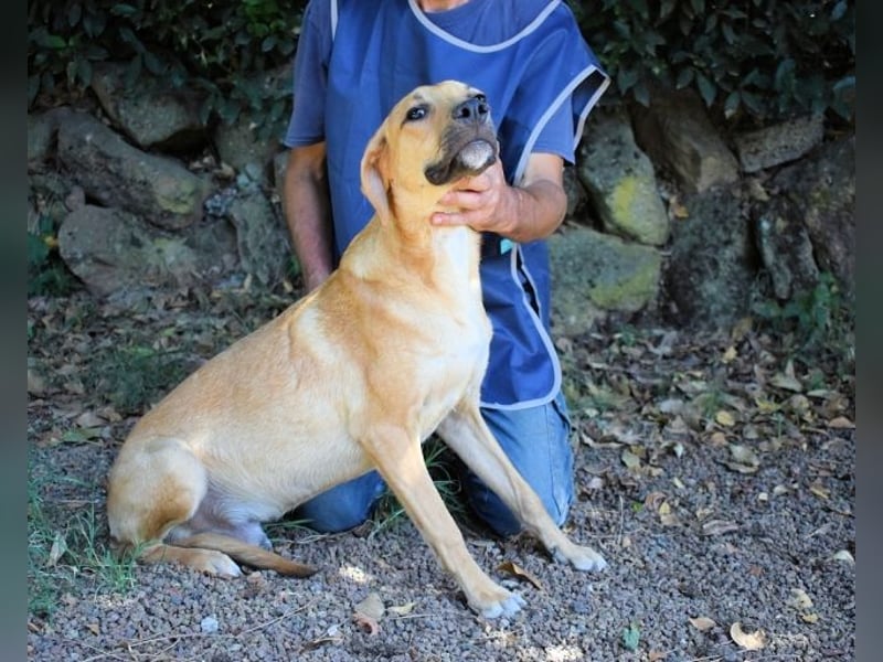 Ulbert - hat alles verloren