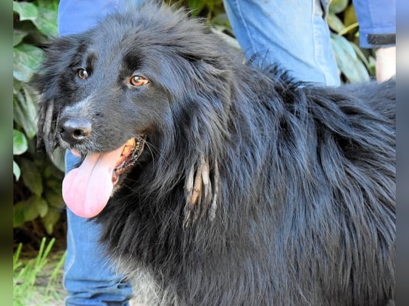 Settimio - Ich bin da, jetzt läuft's!?