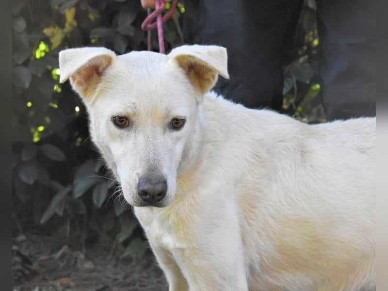 Dafnielle - Zukunft gesucht