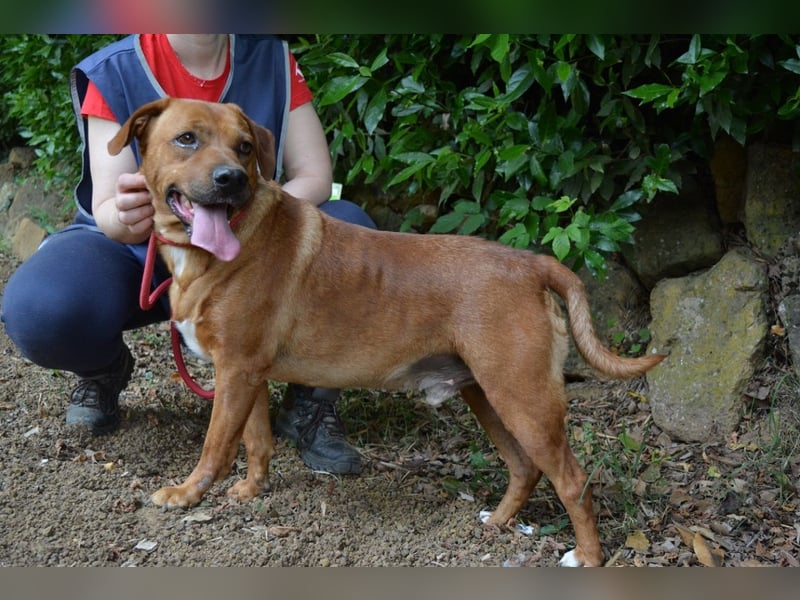 Freebie - Über Stock und Stein