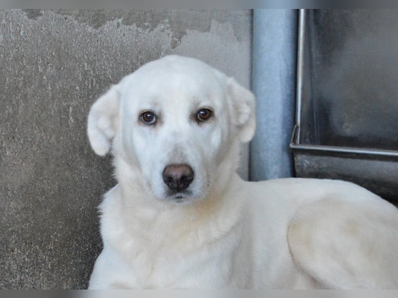 Cyra - Cyra, bald bist auch Du dran!