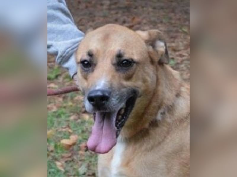 Cesny - Noch ist es nicht zu spät, aber es wird höchste Zeit!