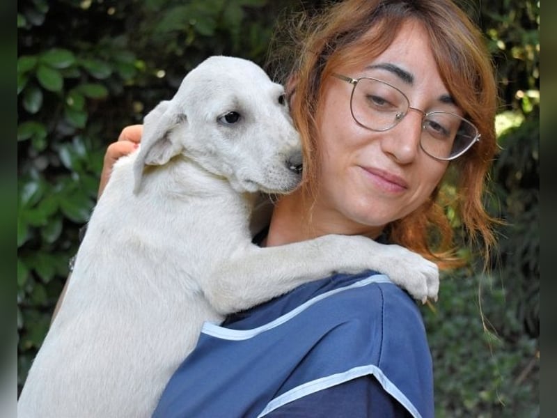 Scrubby - Ein riesiges Missverständnis!