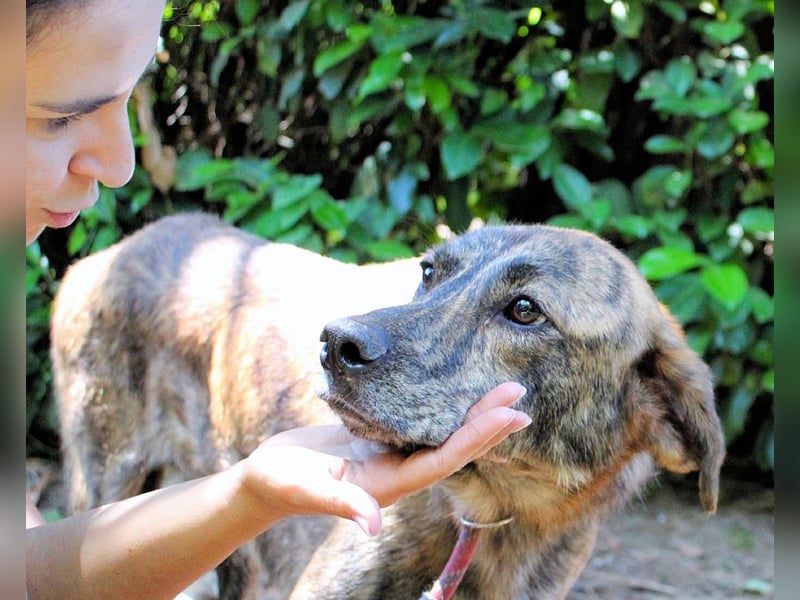 Ulick - hat alles verloren