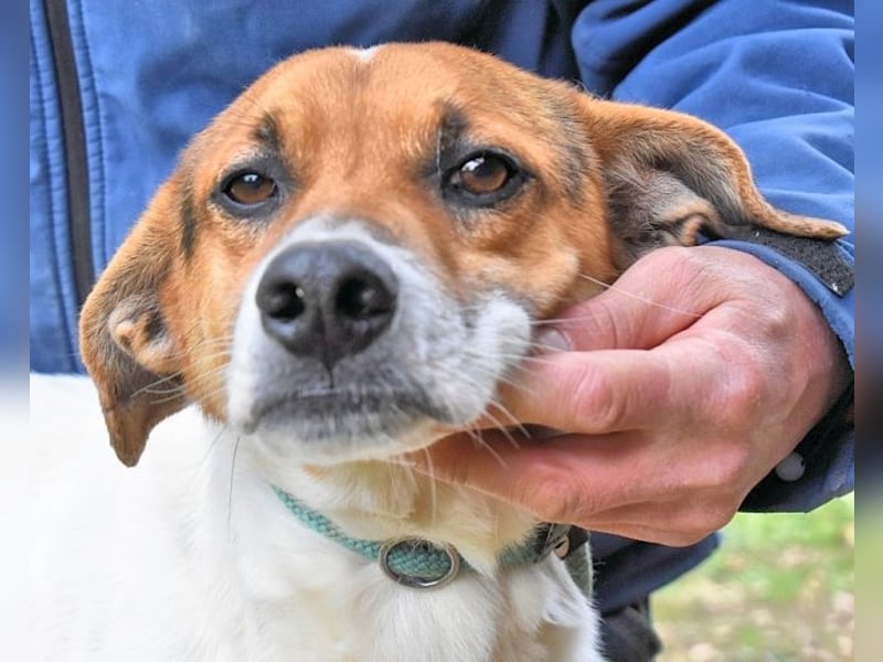 Kamyll - Der Platz neben dir