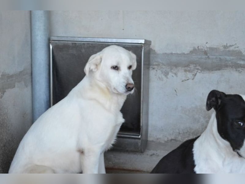 Cyra - Cyra, bald bist auch Du dran!