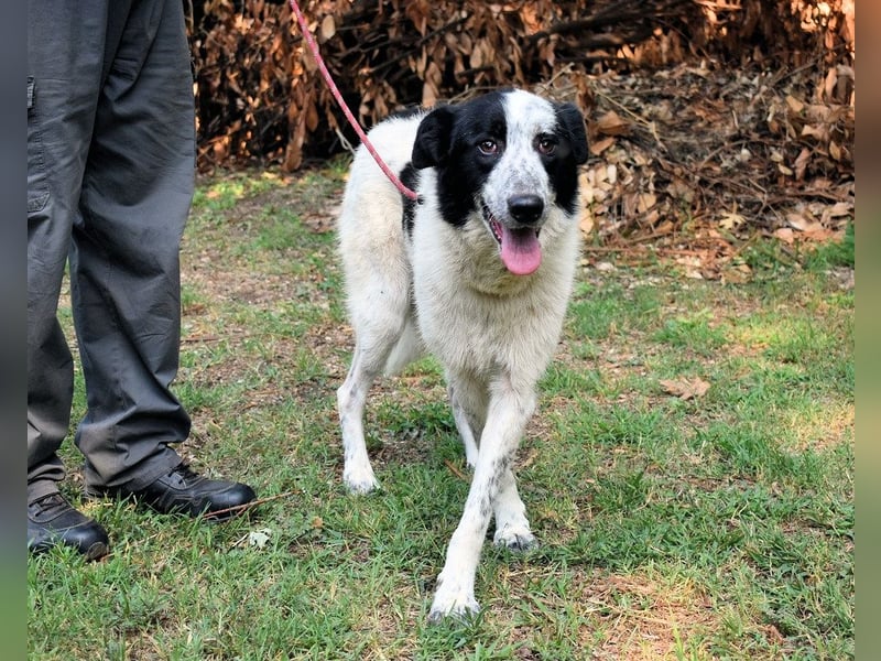 Jasmine - Wer nicht neugierig ist, erfährt nichts!